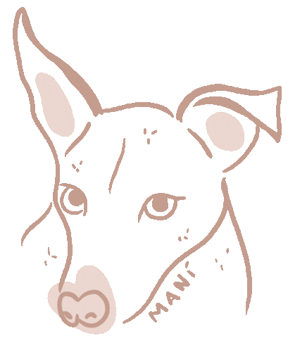 Sticker by angielucoach