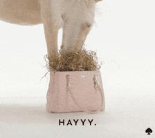 hello GIF by kate spade new york
