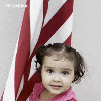 Independence Day Baby GIF by Mr Urbina