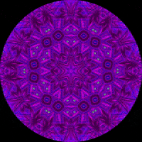 Vibrant GIF