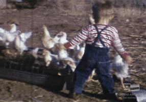 happy home movie GIF by Texas Archive of the Moving Image