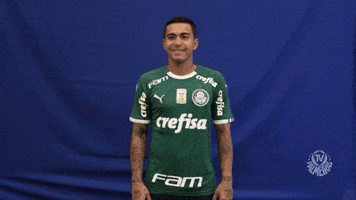 Soccer Waiting GIF by SE Palmeiras