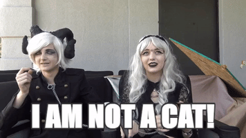 torutakanuru  GIF
