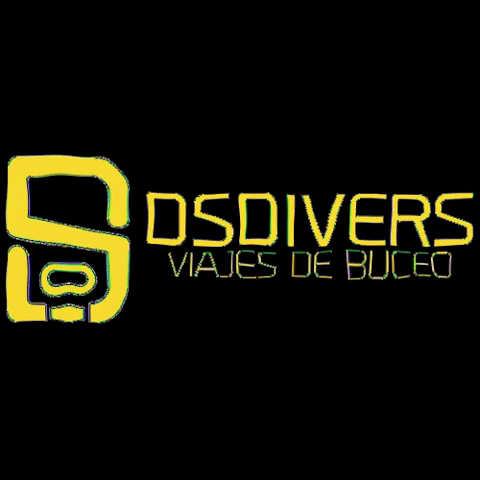 DSDIVERS SL GIF