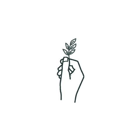 Agreste Sticker by Rabbo