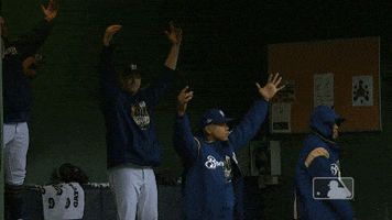 Milwaukee Brewers Sport GIF by MLB
