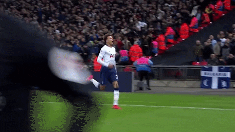 Spurs Official GIF by Tottenham Hotspur - Find & Share on GIPHY