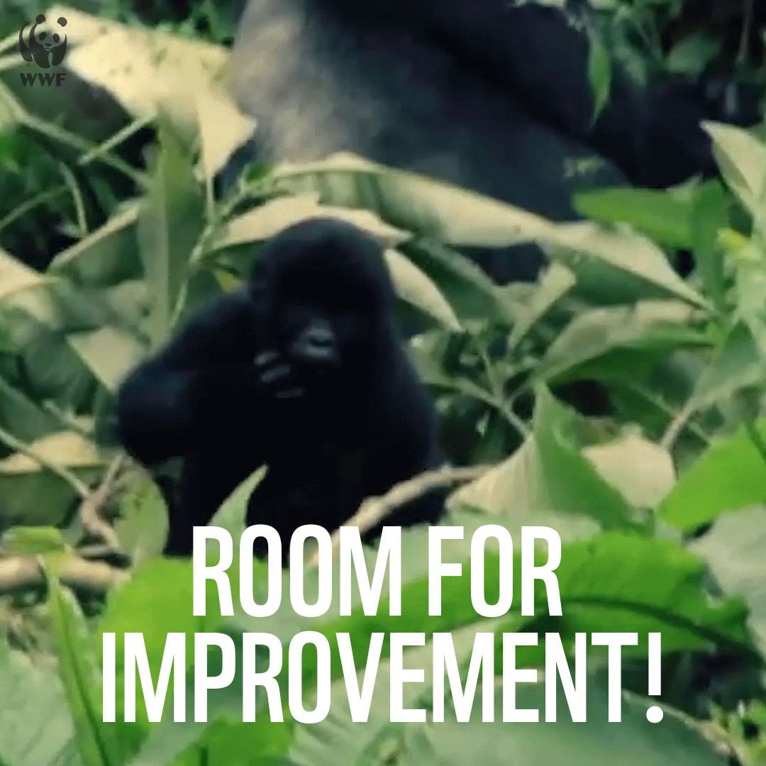 Epic Fail Falling GIF by WWF_UK