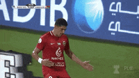 Saudi Professional League Gif - IceGif