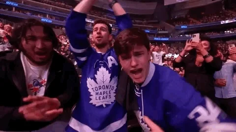 Toronto Maple Leafs Sport GIF