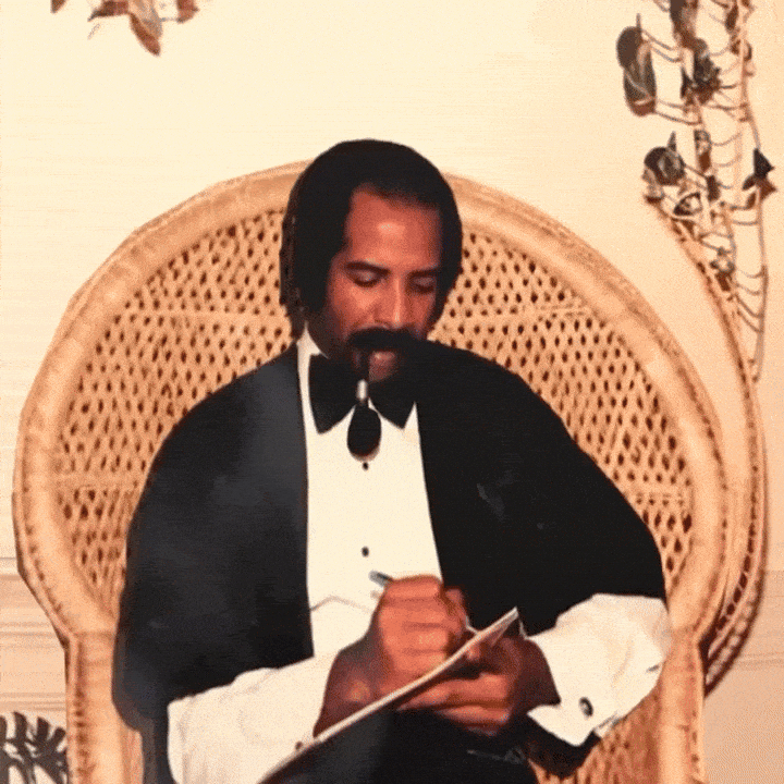 More Life Drake GIF