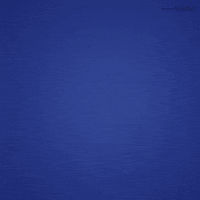 200.gif?cid=fc005b089cfd8036ece74a08773c7a1ebbe9b087eff490a9&rid=200.gif&ct=g