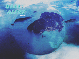 200.gif?cid=fc005b08e4132e805a3cca1da0a3da1eee6e1d078738ff6d&rid=200.gif&ct=g