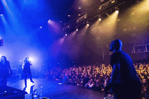 Guitar GIF