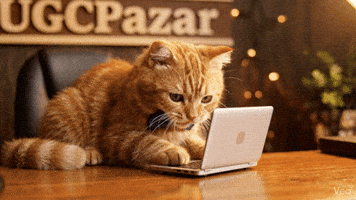 UGCPazar GIF