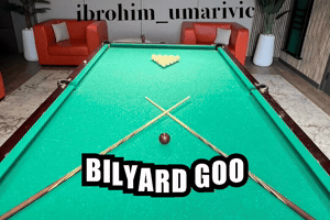 Pol Go GIF