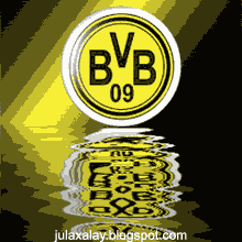 borussia dortmund