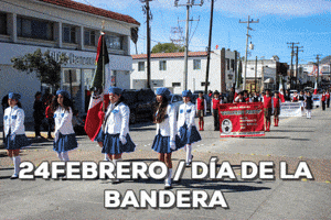 berenicebarreto  GIF