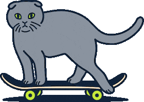 Cat Go Sticker by The Raccoon Club