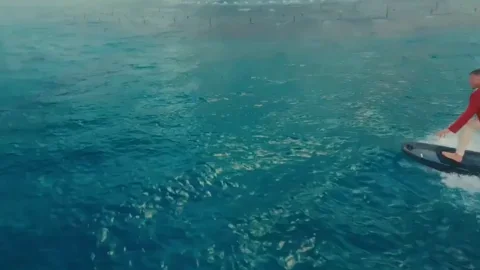 Las Vegas Shark GIF by Imagine Dragons