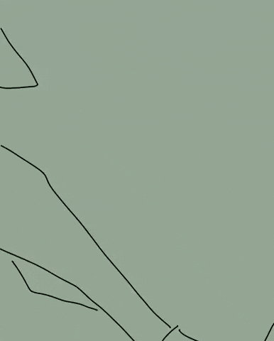 Rotoscope GIF