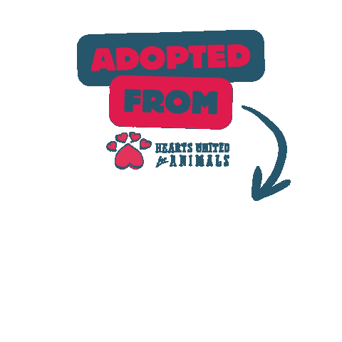 Hearts United for Animals Sticker