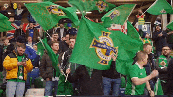Football Fans GIF by Northern Ireland