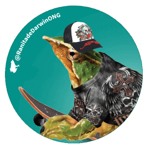 Darwins Frog Skate Sticker by Ranita de Darwin ONG