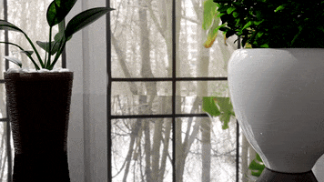 Vivara Studios GIF