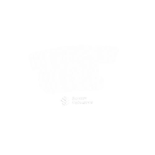 colegiopalmares Sticker