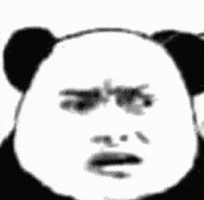 Confused Panda GIF