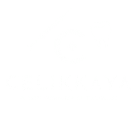 Celikkaya Clinic Sticker