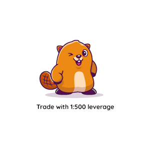 Finveo Sticker