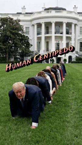 Human Centipedo GIF