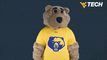 College Sports Slow Clap GIF by WVU Tech Golden Bears
