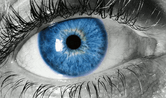 Eye Iris GIF