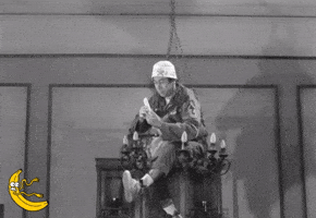 200.gif?cid=cbd60c748i7lp2lonwo6buqviu25