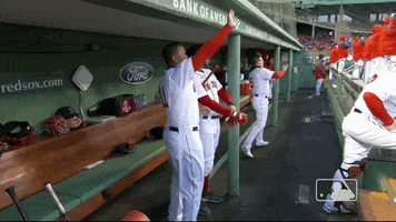 Waving Red Sox GIF by MLB