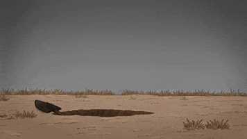 Mascot Binance GIF by CaptainBNB