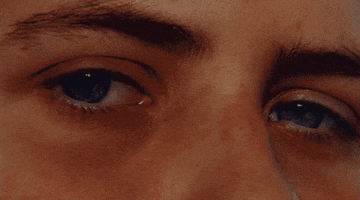 200.gif?cid=fc005b0801e7380b5a4c142144ff4d4aba425eeb036cddd9&rid=200.gif&ct=g