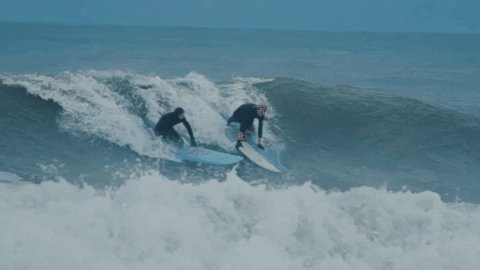 surfing animated gif