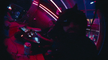 Excited Cat GIF by EL DUSTY