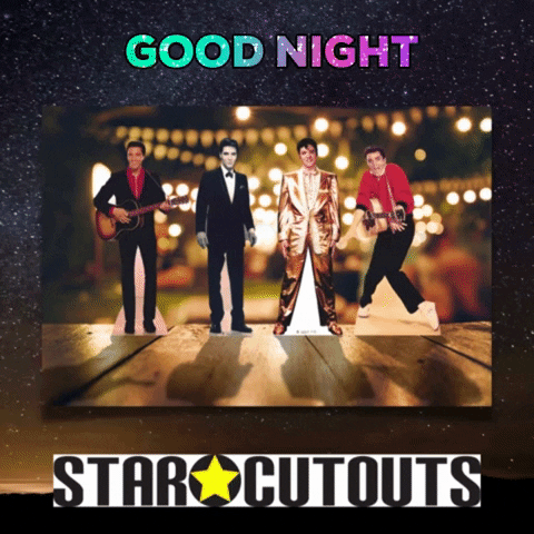 Good Night Elvis GIF by STARCUTOUTSUK