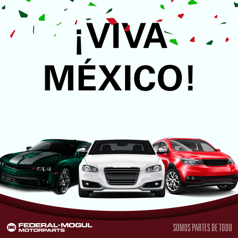 Federal Mogul GIF