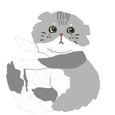 Sad Cat Sticker