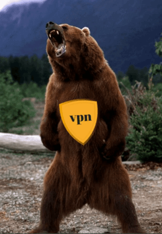 Tunnelbear Vpn GIF