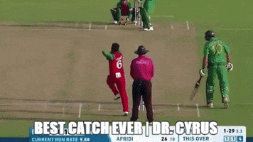 cyrus cyrus soumy GIF
