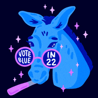 Voting New Year GIF by Creative Courage