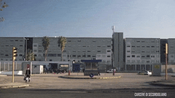 200.gif?cid=fc005b089ae72215394fa3db102b603823f8e623706a5303&rid=200.gif&ct=g