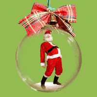 Christmas Celebration GIF by DaanBrand